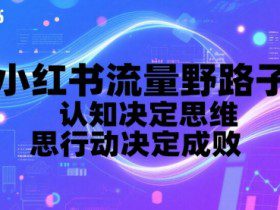 小红书流量野路子，认知决定思维，思维决定行动，行动决定成败