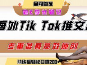海外tiktok小说推文暴力项目，高停留率，高转化率，上手后一天搞顿饭钱不是问题