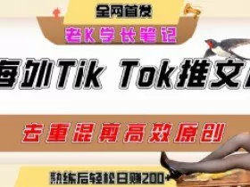 海外tiktok小说推文暴力项目，高停留率，高转化率，上手后一天搞顿饭钱不是问题