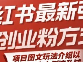 小红书最新引流创业粉方式，项目图文玩法介绍以及如何安全倒流私域