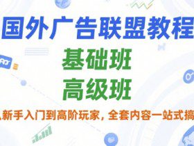 国外广告联盟教程,基础班和高级班,从新手入门到高阶玩家,全套内容一站式搞定