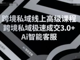 跨境私域线上高级课程，跨境私域极速成交3.0+Ai智能客服