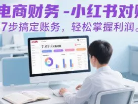 电商财务-小红书对账，7步搞定账务，轻松掌握利润