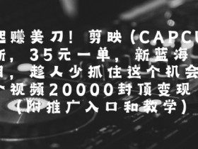 一起挣美刀!剪映(CAPCUT)拉新，35米一单，新蓝海项目，一个视频2w封顶变现(附推广入口和教学)