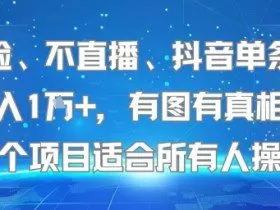 不露脸、不直播、抖音单条视频日入1W+，有图有真相！这个项目适合所有人操作