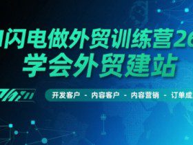 AI闪电做外贸训练营26期，学会外贸建站-开发客户-内容营销-订单成交