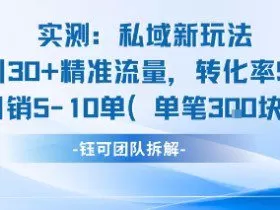 实测私域新玩法日引30加精准流量转化率50%日销5-10单每笔3张