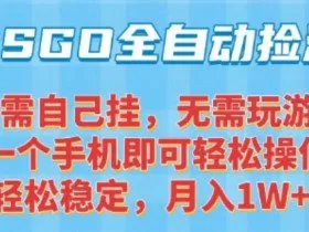 CSGO自动捡漏项目，最新独家玩法，一个手机可操作，新手小白轻松月入1W+，操作简单易上手【揭秘】