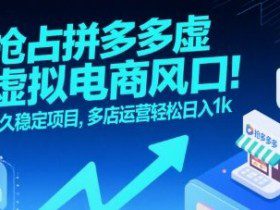 抢占拼多多虚拟电商风口：长久稳定项目，多店运营轻松日入1k