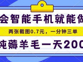 2025年零撸手机项目，二十秒一单，纯薅羊毛，一天200+做就有【揭秘】