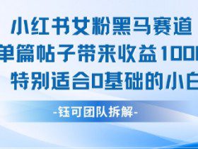 小红书女粉黑马赛道单篇帖子带来收益1k+，特别适合0基础的小白
