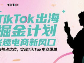 TikTok出海掘金计划，兴趣电商新风口，出海抢占坑位，实现TikTok电商爆单