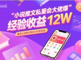 小说推文私董会大佬爆单经验分享收益12W，番茄小说每天稳定4位数收益
