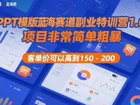 PPT模版蓝海赛道副业特训营1.0，项目非常简单粗暴，客单价可以高到150-200