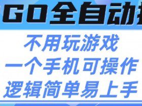 CSGO自动捡漏项目，最新独家玩法，不用挂G不用玩游戏，一个手机即可操作，新手小白轻松月入1W+【揭秘】