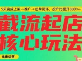 淘宝截流快速起店玩法，掌握暴力快速起店的流程，5天完成上架-推广-出单闭环