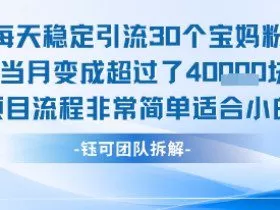 每天稳定引流30个人 当月变成超过了4个W项目流程非常简单适合小白