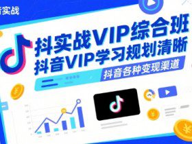 抖音实战VIP综合班，抖音VIP学习规划请晰抖音各种变现渠道