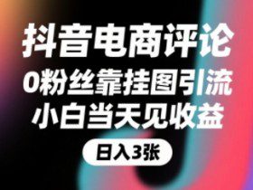 抖音电商评论，0粉丝靠挂图引流，被动挣抖音搜索佣金，小白当天见收益，还能躺挣下级评论增量收益