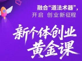 新个体创业黄金课：道法术器四维抢占2025红利