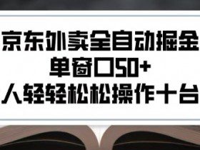 2025新风口京东外卖全自动掘金，单窗口50+，一个人轻轻松松操作十台设备【揭秘】