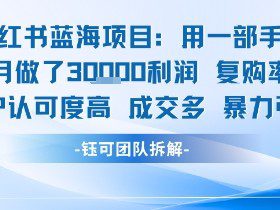 小红书蓝海项目，一部手机单月做了3W利润，小白也能月入过1W用户认可度高成交多