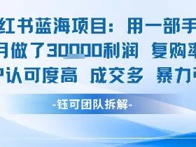 小红书蓝海项目，一部手机单月做了3W利润，小白也能月入过1W用户认可度高成交多