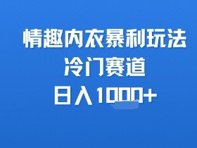 情趣内衣暴利玩法，冷门赛道，日入1k+