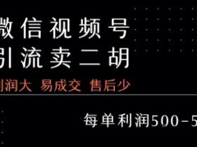 视频号卖二胡教程,利润大 易成交 售后少,一单利润5张+