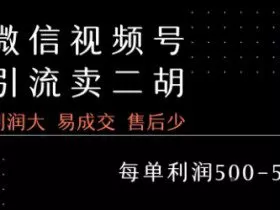 视频号卖二胡教程，利润大 易成交 售后少，一单利润5张+
