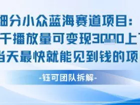 小众蓝海赛道项目：当天变现1k+适合新手操作 +适合长期玩