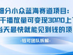 小众蓝海赛道项目：当天变现1k+适合新手操作 +适合长期玩