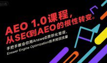 大卫AEO1.0课程，从SEO到AE0的基命性转变，手把手教会你用AnswerEngineOptimization技术抢回流量
