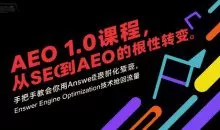 大卫AEO1.0课程，从SEO到AE0的基命性转变，手把手教会你用AnswerEngineOptimization技术抢回流量