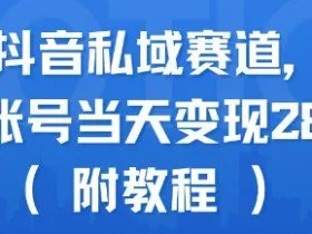 蓝海抖音私域赛道，实操单账号当天变现288+(附教程)