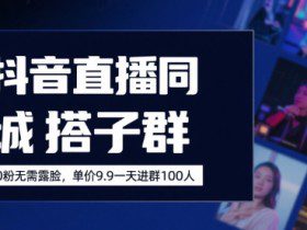 抖音直播同城搭子群，0粉无需露脸，单价19.9，一天进群100人