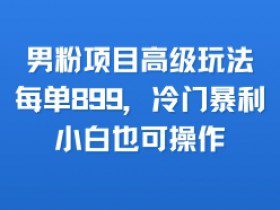 男粉项目高级玩法，每单899，冷门暴利，小白也可操作