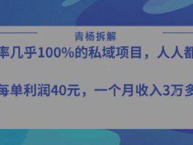 转化率最高的私域项目，每单利润40-50米，月入过1w