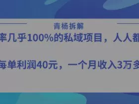 转化率最高的私域项目，每单利润40-50米，月入过1w