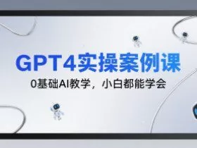 GPT4实操案例课，0基础AI教学，小白都能学会