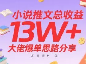 小说推文总收益13W+大佬爆单思路分享，常青树项目