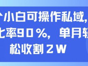 一个小白可操作私域，转化率90%，单月轻松收割2W