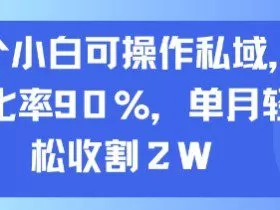 一个小白可操作私域，转化率90%，单月轻松收割2W