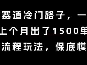 中老年赛道冷门路子，一单788，上个月出了1500单，全流程玩法，保底模式【揭秘】