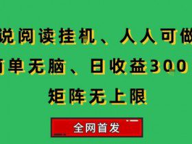 小说挂G阅读，人人可做，简单无脑，一天收益3张+矩阵无限上，全网首发【揭秘】