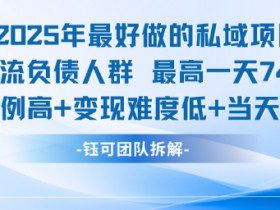 2025年最好做的私域项目，引流负债人群，最高一天变现7.4k，人群占比高，变现难度低，当天就能见到钱