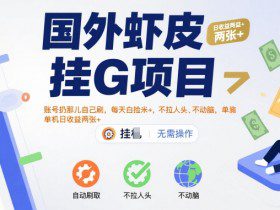 国外虾皮挂G项目：账号扔那儿自己刷，每天白捡米+，不拉人头、不动脑，单机日收益两张+【揭秘】