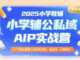 2025小学教辅公私域AIP实战营，一个适合普通人搞钱的项目，低成本，长期稳定