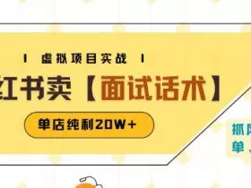 小红书虚拟项目掘金，卖面试话术资料，单店纯利20W+(附爆款笔记制作方法)