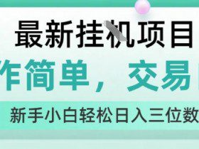 最新挂G项目，操作简单，交易自由，人人可上手，新手小白轻松日入三位数【揭秘】